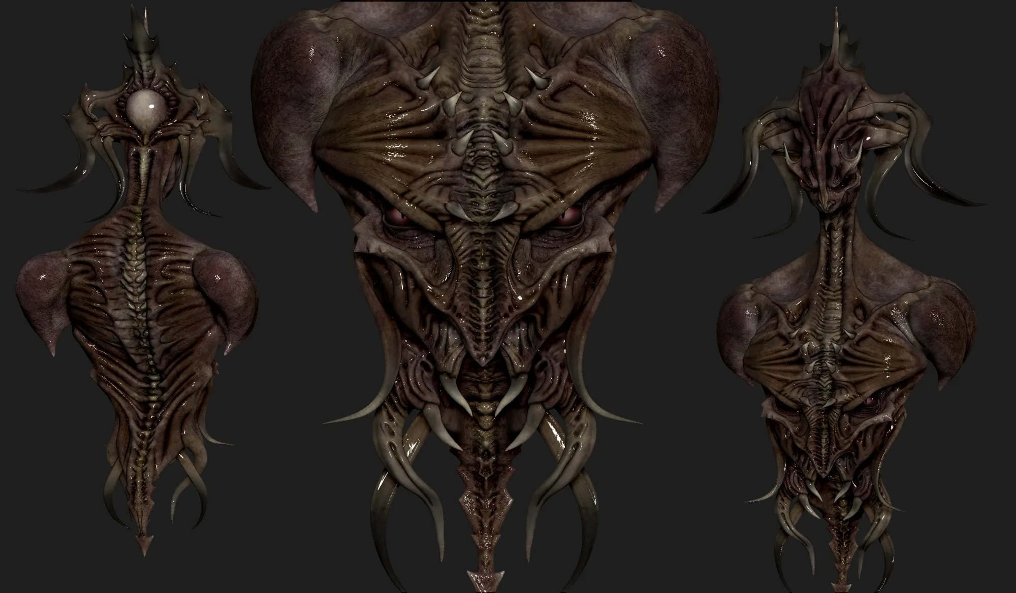 Organic Exploration #174